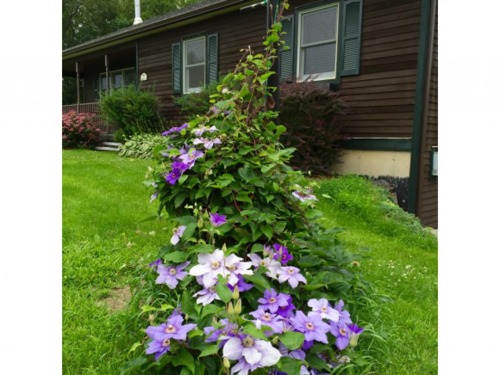 40 Heron Ridge Road South Hero, VT 05486 - Photo 19 of 23 Gallery Image 19