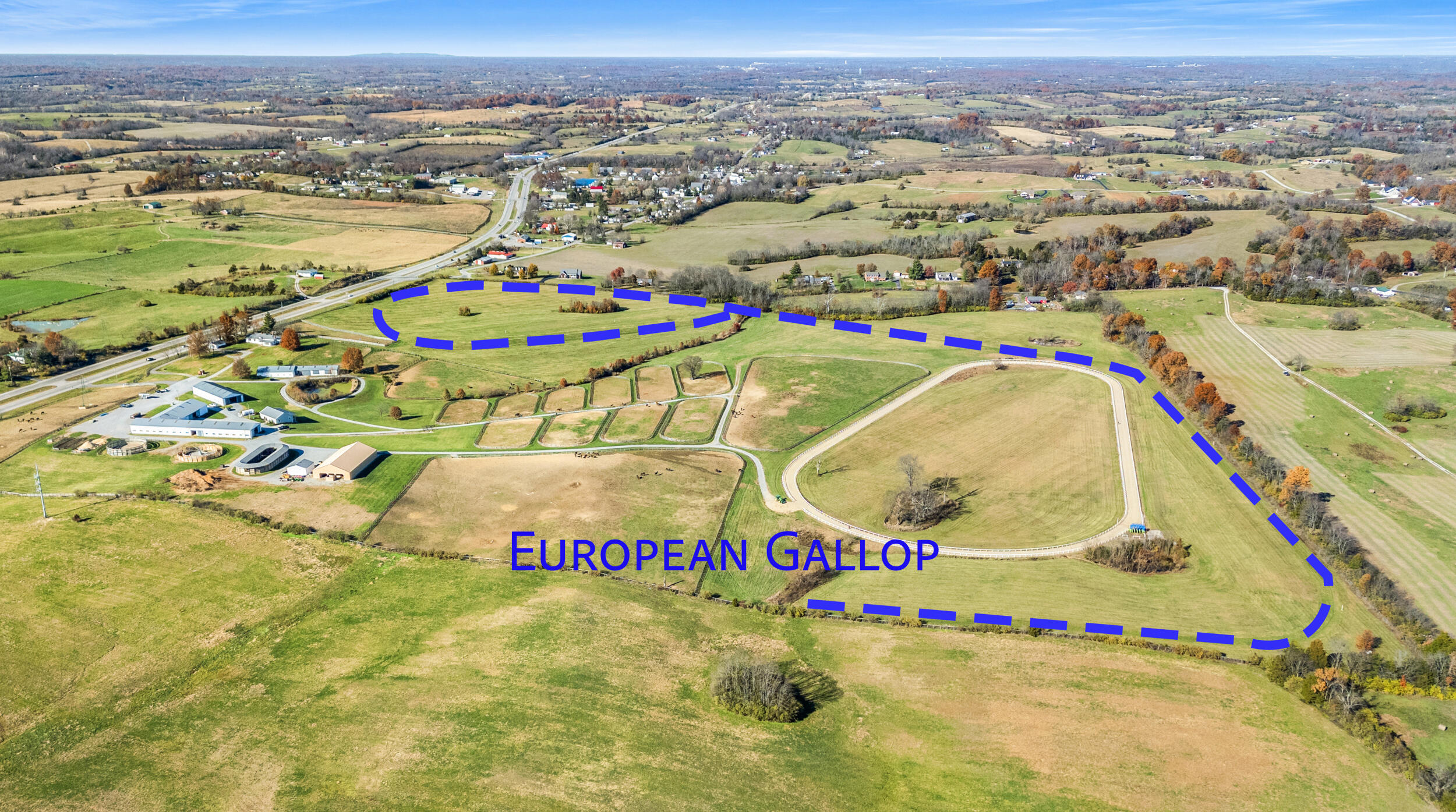 4487 European Gallop
