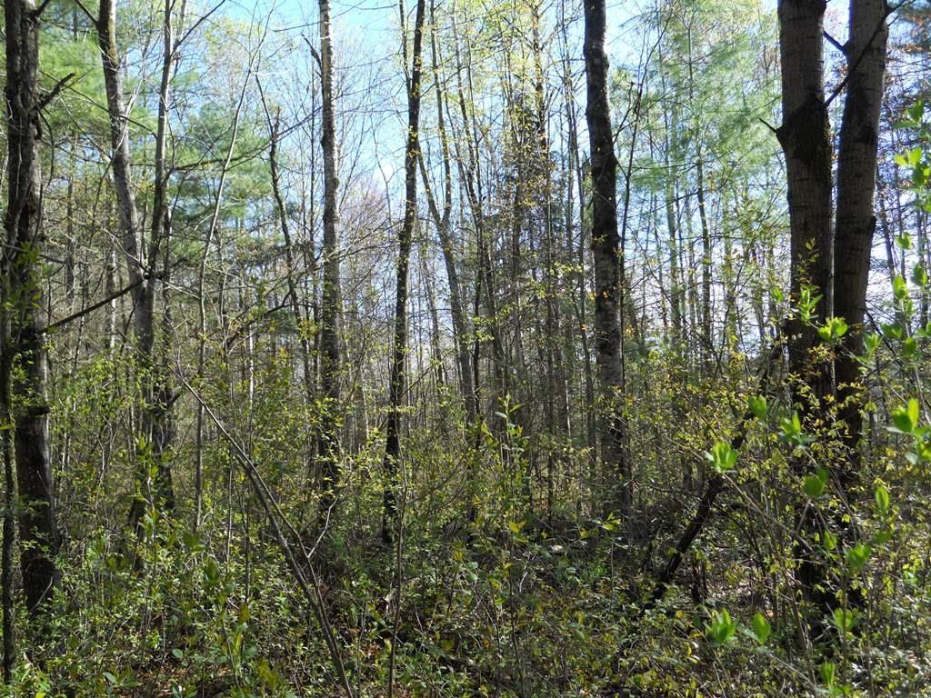 957 Hinckley Road Clinton, ME 04927 - Photo 11 of 15 Photo