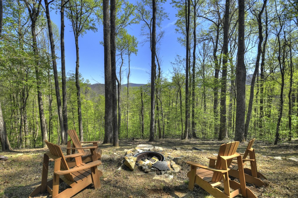 1831 Walnut Ridge Ellijay, GA 30536 - Photo 38 of 49 Fire pit for star gazing