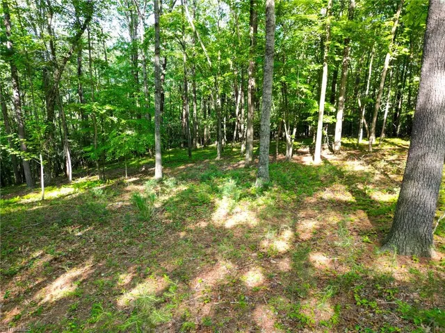 $89,000 | 345 Rainbow Trout Drive, Hays, NC 28635