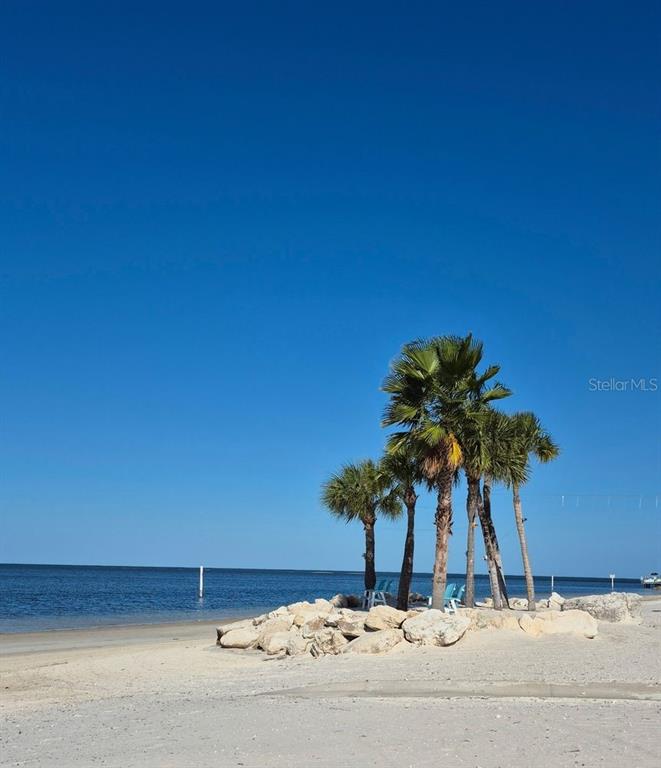 4880 Shell Stream Boulevard New Port Richey, FL 34652 - Photo 21 of 25