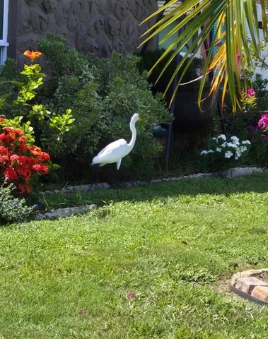 $425,000 | 4880 Shell Stream Boulevard, New Port Richey, FL 34652