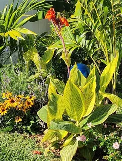 $425,000 | 4880 Shell Stream Boulevard, New Port Richey, FL 34652