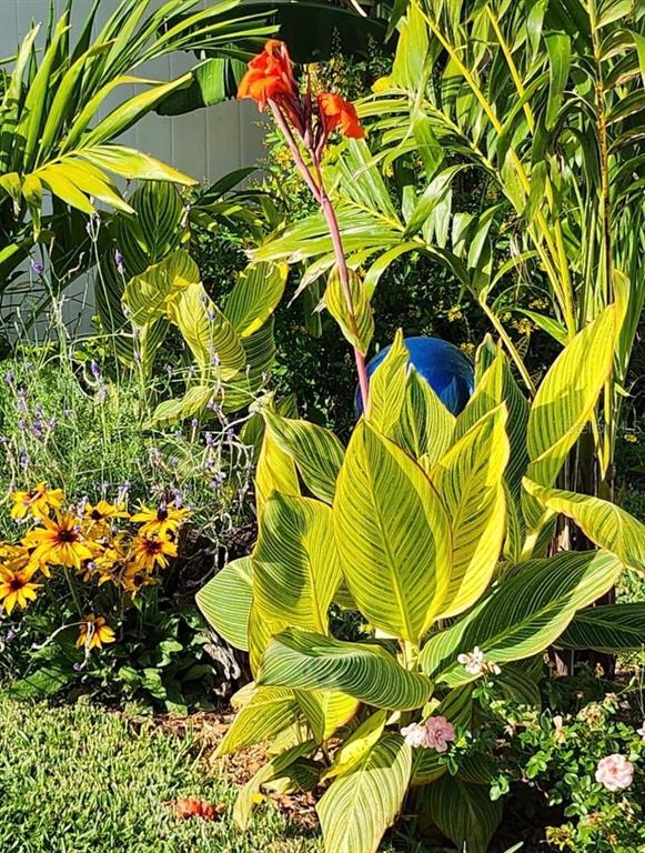 4880 Shell Stream Boulevard New Port Richey, FL 34652 - Photo 52 of 57