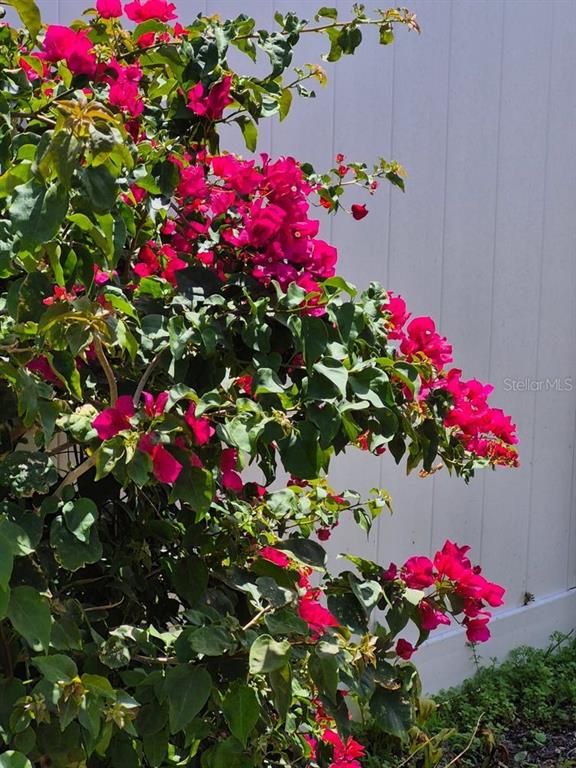 4880 Shell Stream Boulevard New Port Richey, FL 34652 - Photo 54 of 57