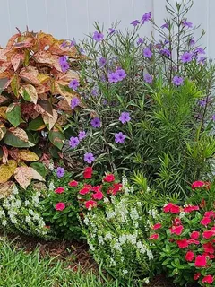 $425,000 | 4880 Shell Stream Boulevard, New Port Richey, FL 34652