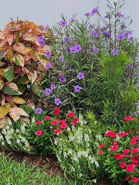 4880 Shell Stream Boulevard New Port Richey, FL 34652 - Photo 55 of 57