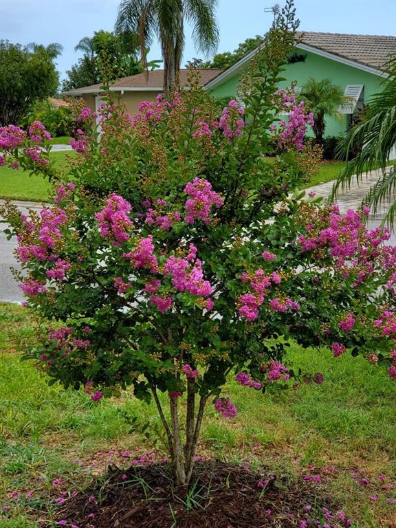 4880 Shell Stream Boulevard New Port Richey, FL 34652 - Photo 56 of 57