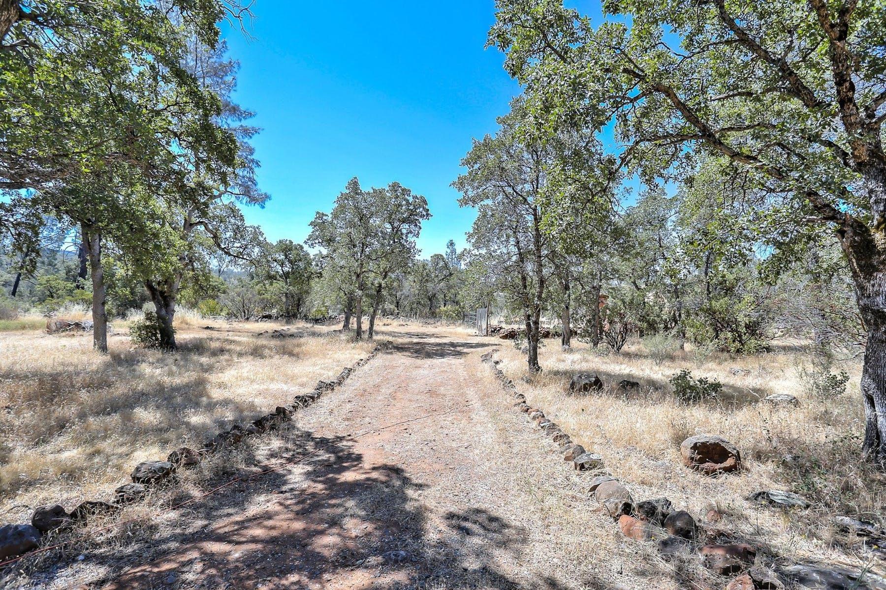 27055 Hobart Road Shingletown, CA 96088 - Photo 20 of 75 https_%2F%2Fd1phq33hlwqojy.cloudfront.ne