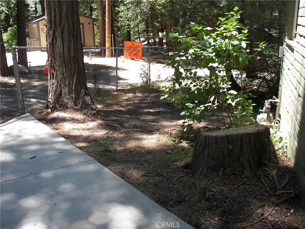 1101 Big Tree Lane Crestline, CA 92325 - Photo 5 of 30 a view of yard