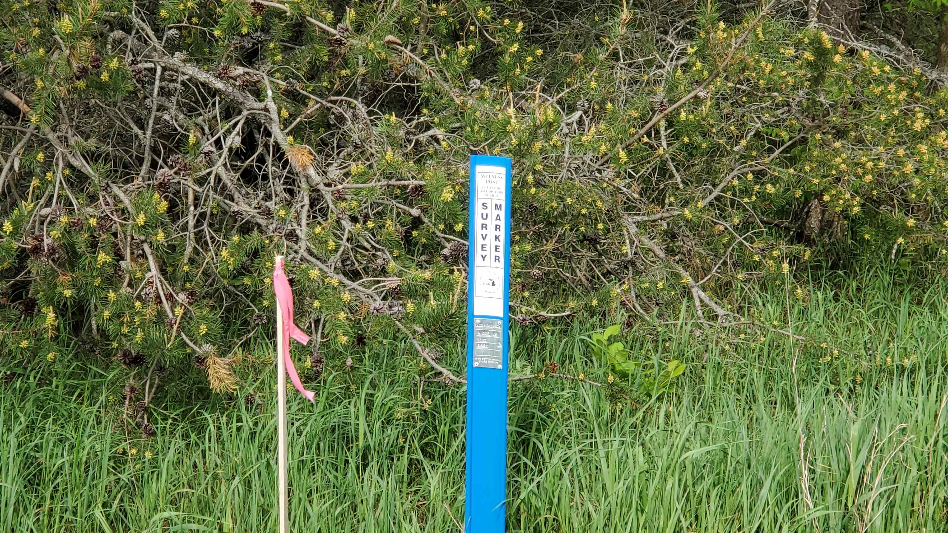 0 South Pioneer Road Beulah, MI 49617 - Photo 6 of 8