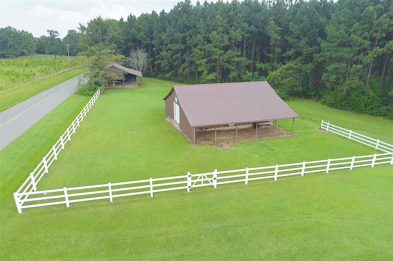 2312 Appleton Road Castleberry, AL 36432 - Photo 3 of 50