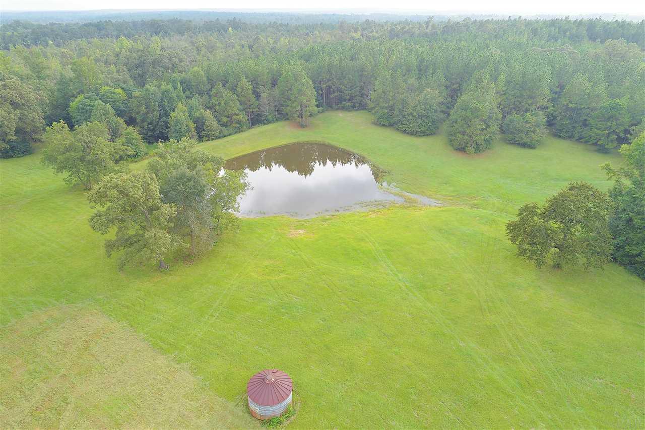 2312 Appleton Road Castleberry, AL 36432 - Photo 4 of 50