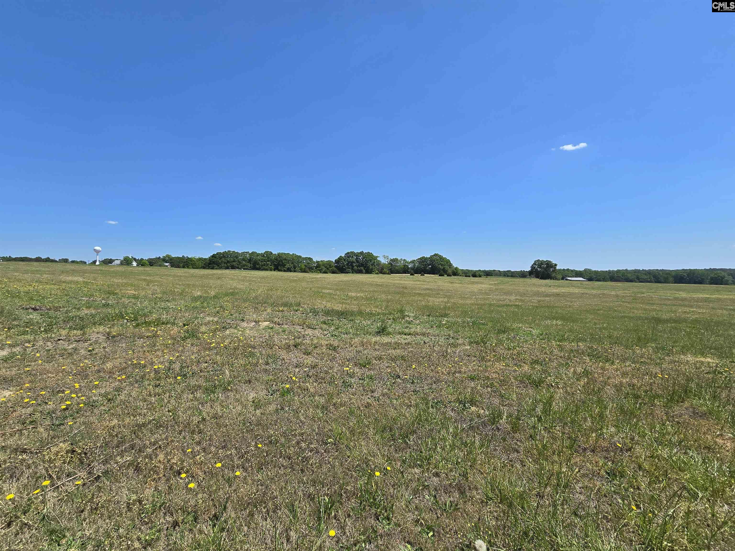 542 Pea Ridge Highway Jonesville, SC 29353 - Photo 27 of 72