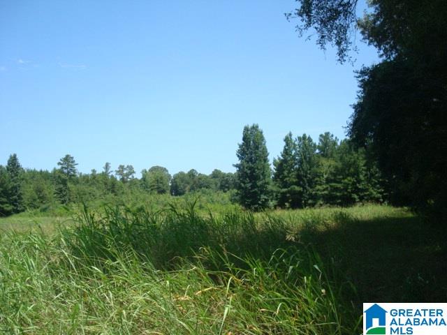 0 Dabbs Road, Unit 19 & 20 Oxford, AL 36203 - Photo 17 of 33