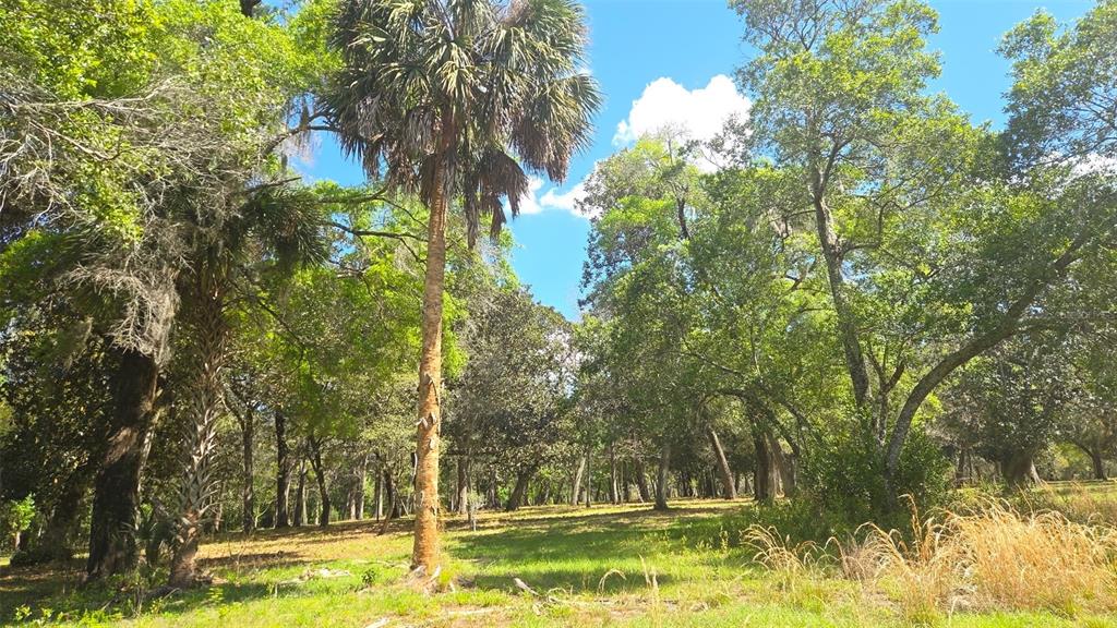 2140 St Johns River Road Astor, FL 32102 - Photo 11 of 13 a view of swimming pool