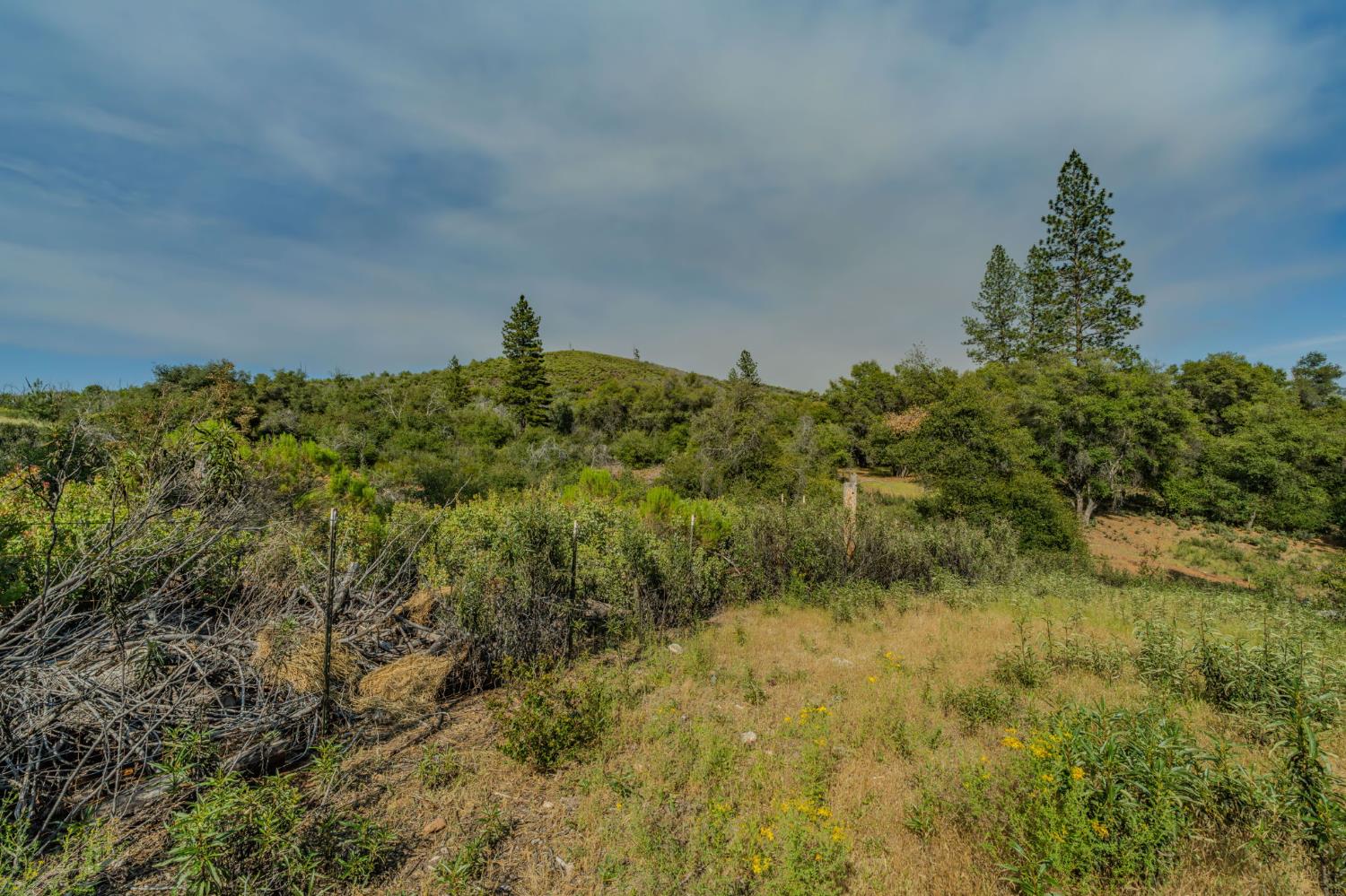 6216 Trout Lane Mountain Ranch, CA 95246 - Photo 15 of 39 a view of a green field