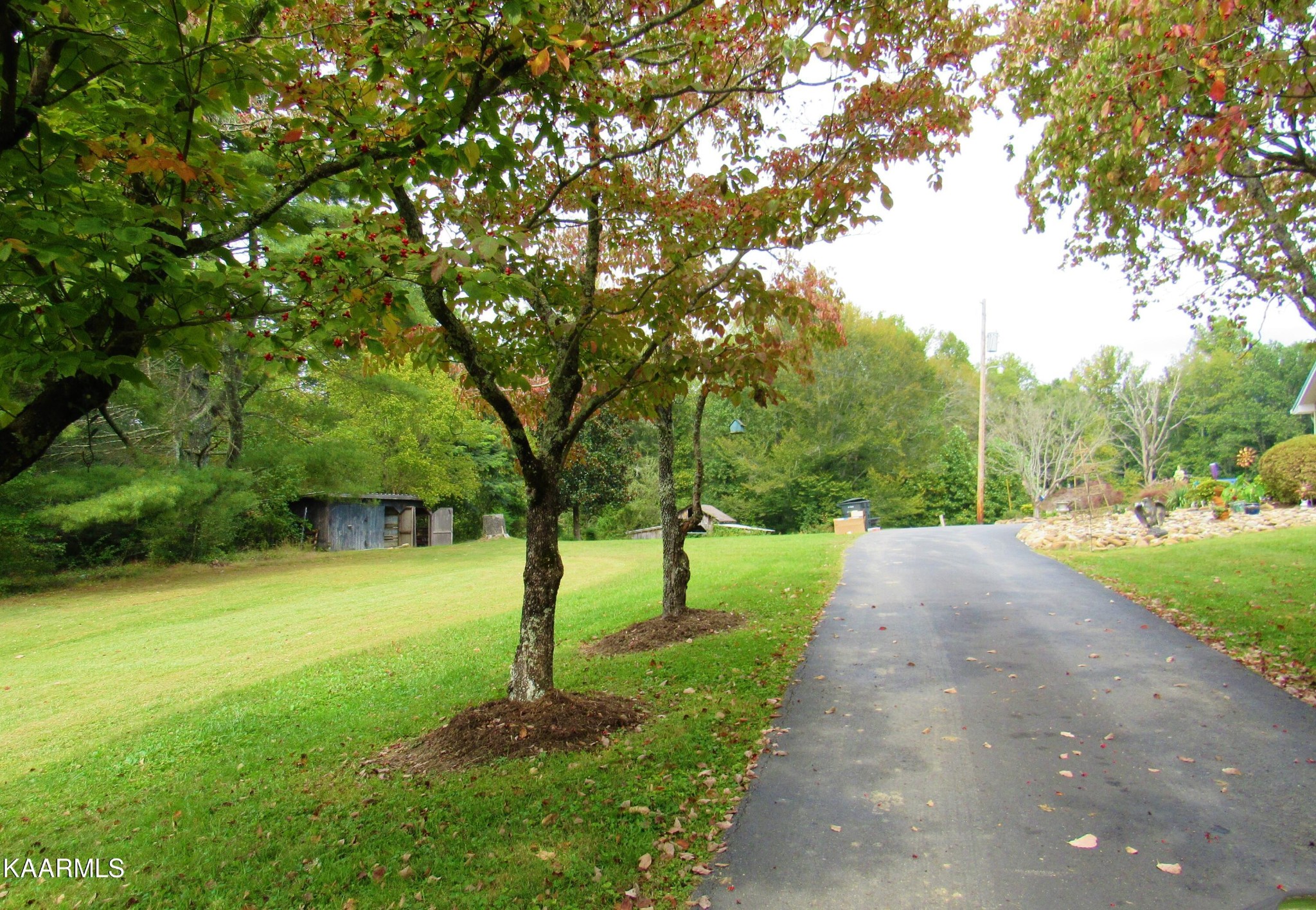 115 Mill Road Wartburg, TN 37887 - Photo 11 of 37 Gallery Image 11