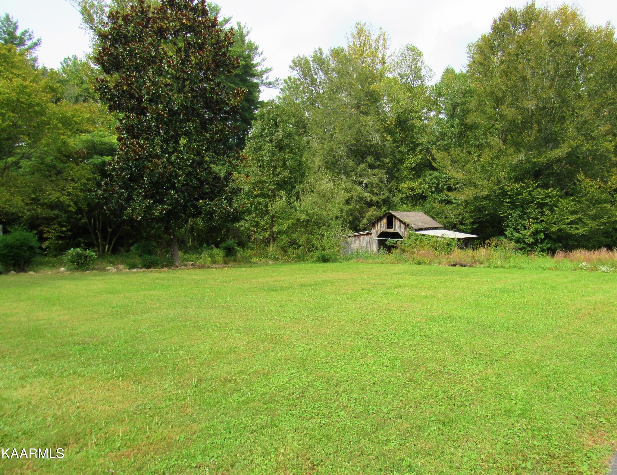115 Mill Road Wartburg, TN 37887 - Photo 15 of 37 Gallery Image 15