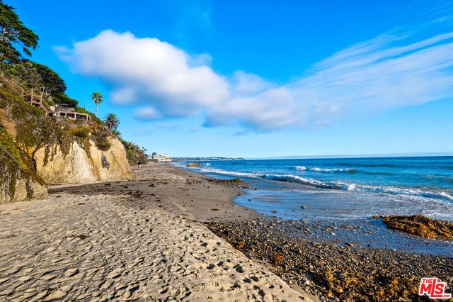 a picture of flowers