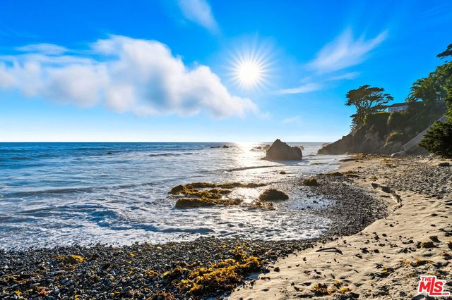 a view of a yard with trees