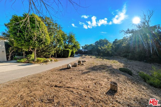a view of a garden with flowers