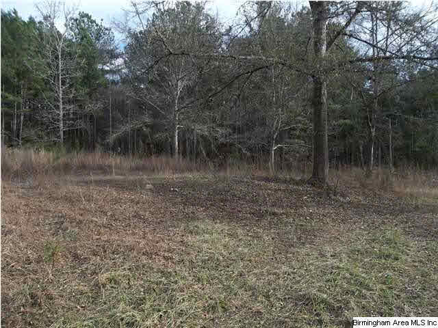 Turkey Pen Road, Unit 1 Cragford, AL 36255 - Photo 4 of 6