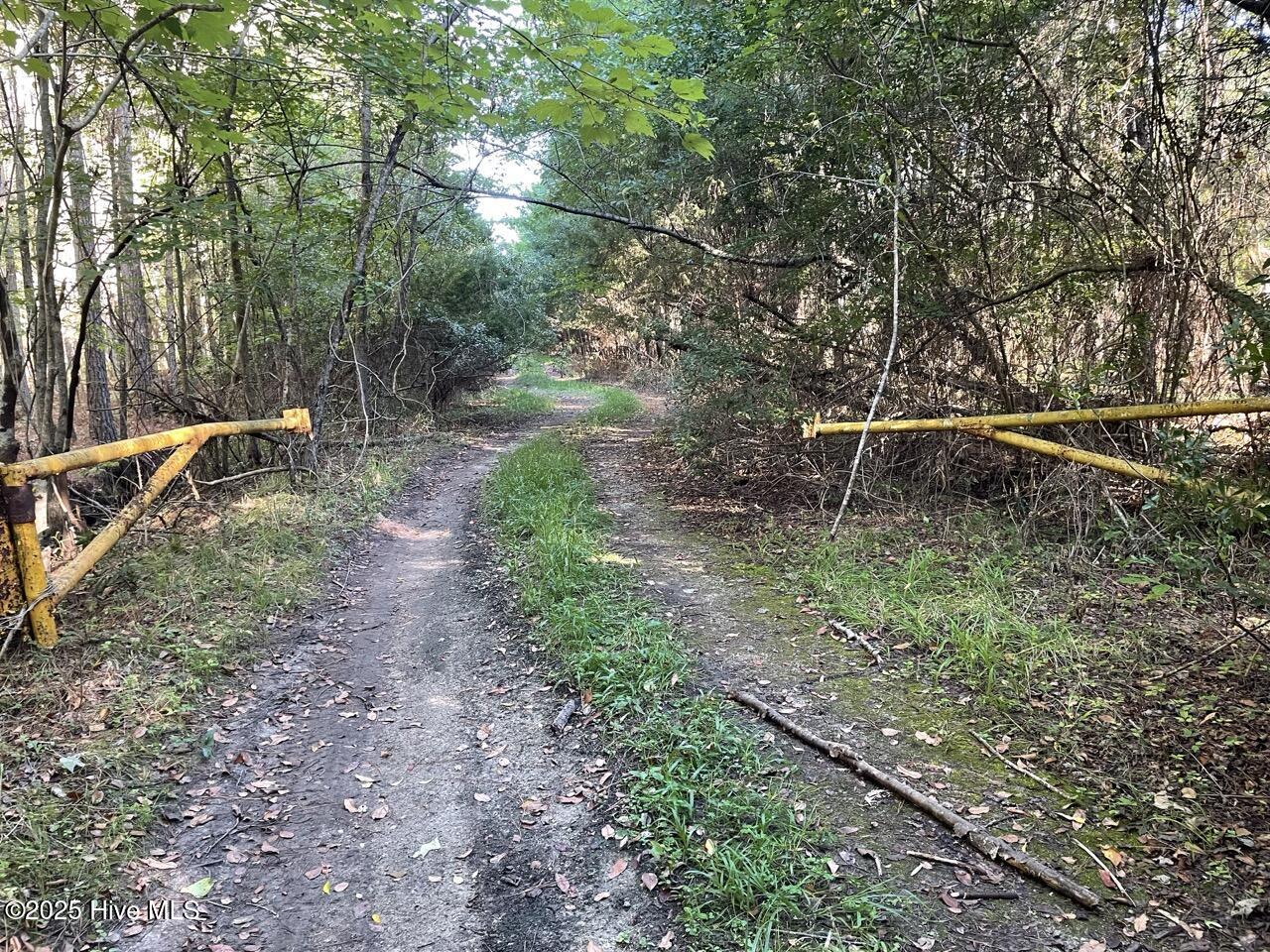 400 4-H Road Beaufort, NC 28516 - Photo 13 of 36 IMG_4528 Large