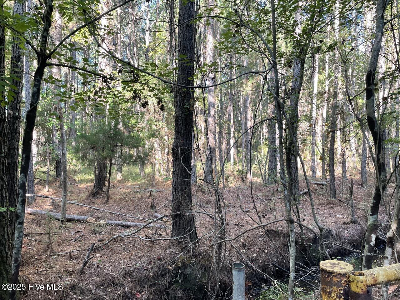 400 4-H Road Beaufort, NC 28516 - Photo 14 of 36 IMG_4529 Large