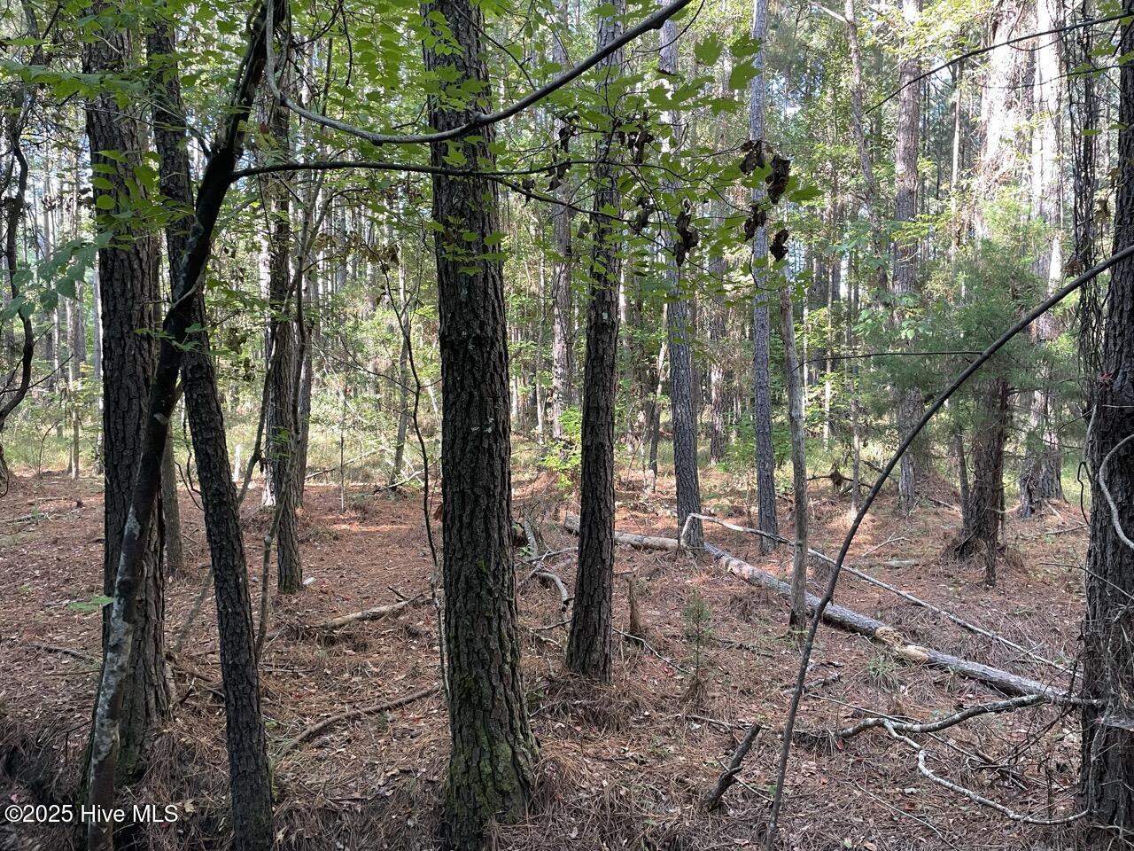 400 4-H Road Beaufort, NC 28516 - Photo 16 of 36 IMG_4530 Large