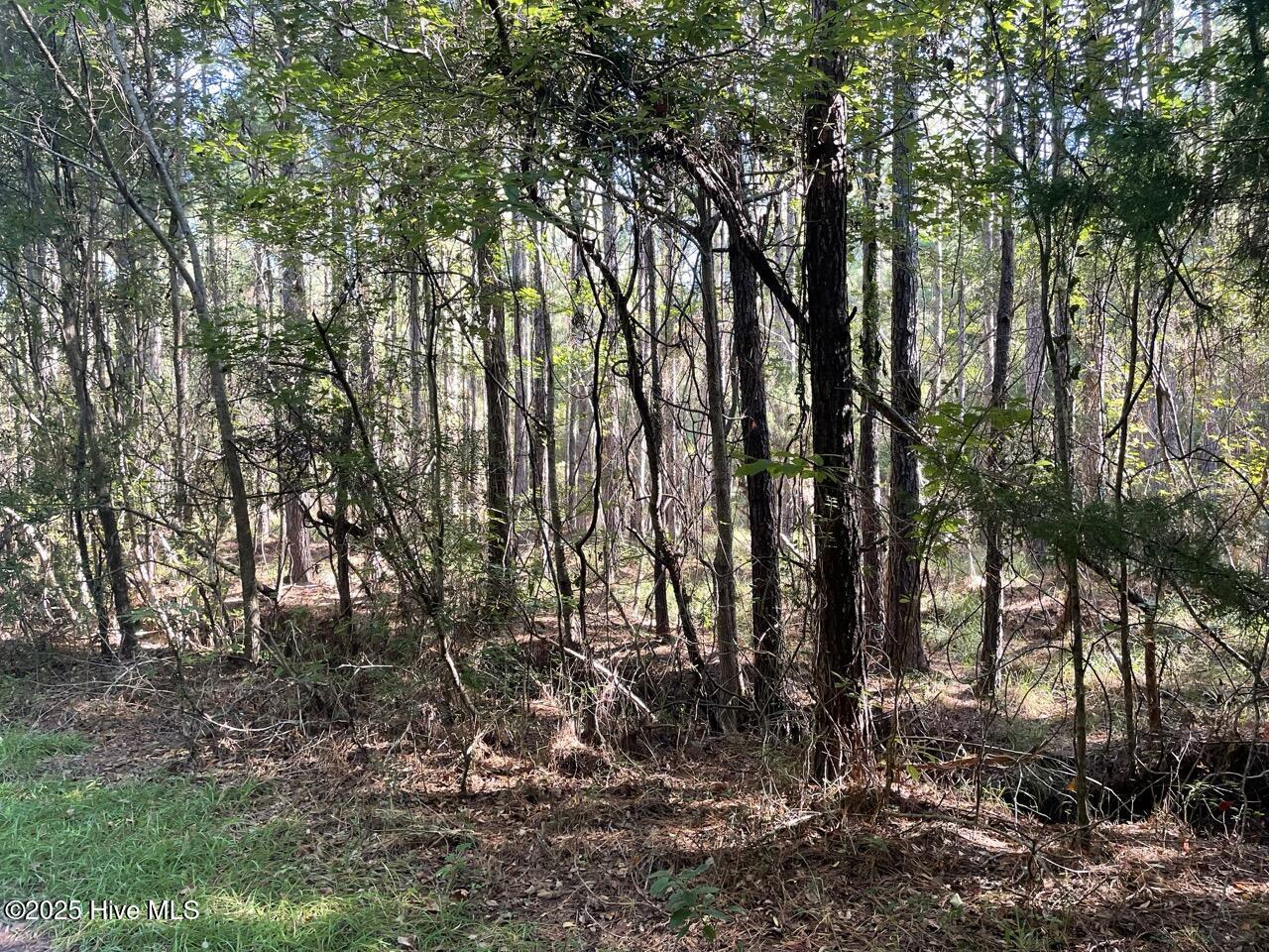 400 4-H Road Beaufort, NC 28516 - Photo 18 of 36 IMG_4533 Large