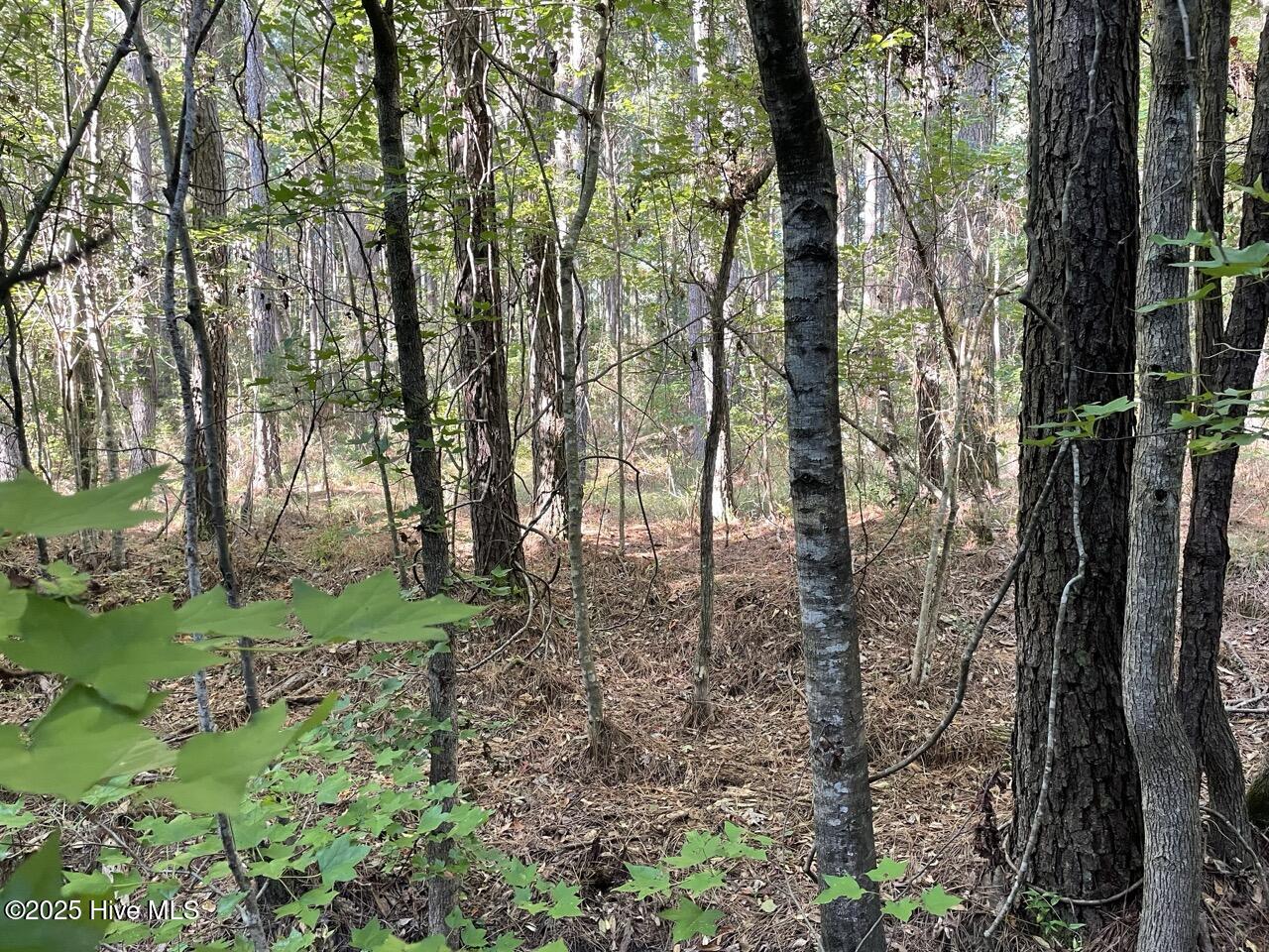 400 4-H Road Beaufort, NC 28516 - Photo 20 of 36 IMG_4535 Large