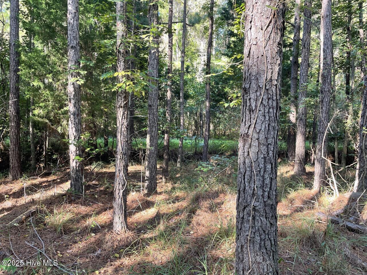 400 4-H Road Beaufort, NC 28516 - Photo 22 of 36 IMG_4536 Large