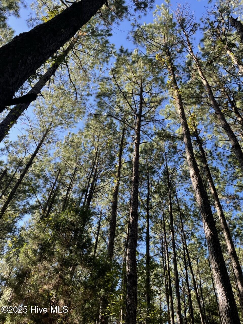 400 4-H Road Beaufort, NC 28516 - Photo 23 of 36 IMG_4539 Large