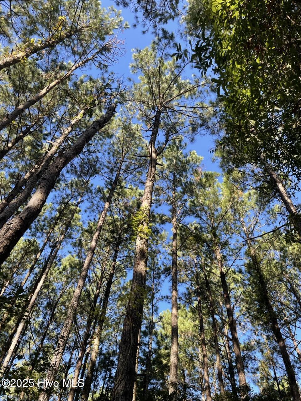 400 4-H Road Beaufort, NC 28516 - Photo 24 of 36 IMG_4540 Large