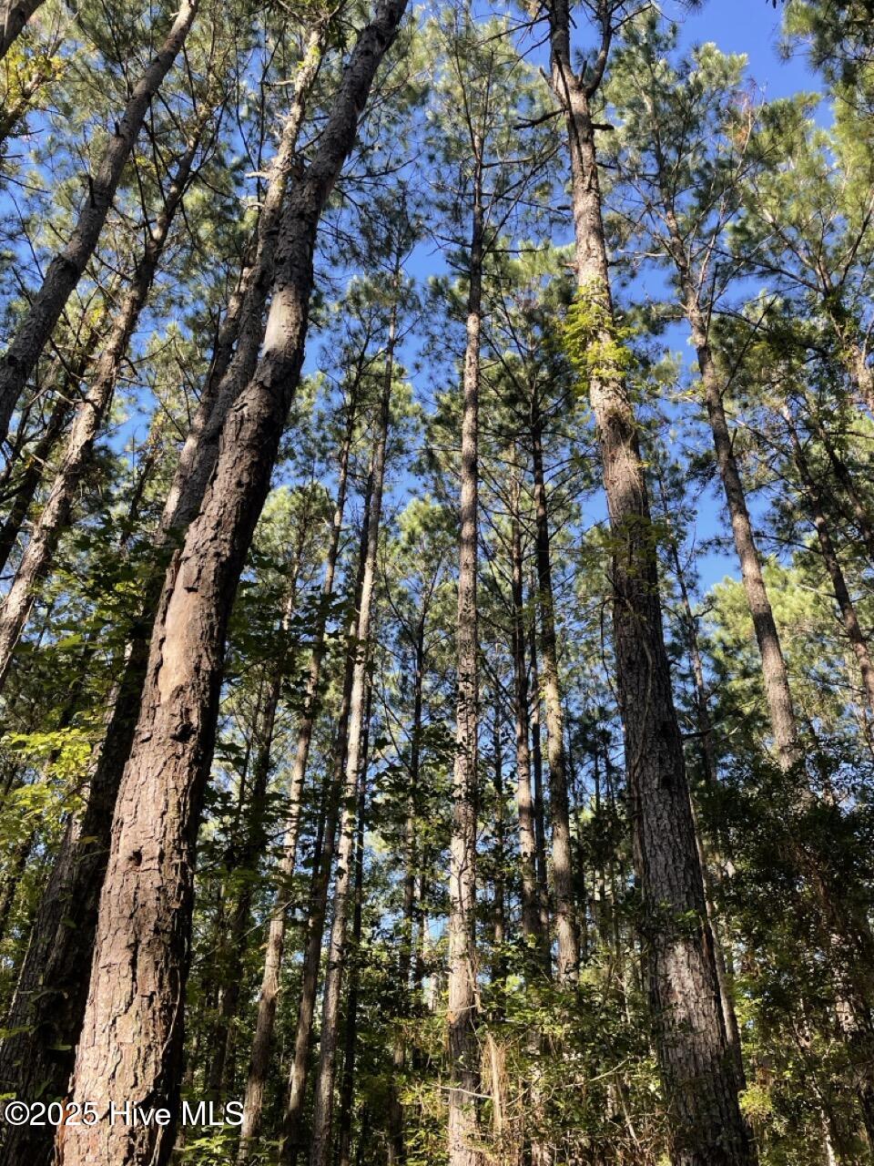 400 4-H Road Beaufort, NC 28516 - Photo 25 of 36 IMG_4541 Large