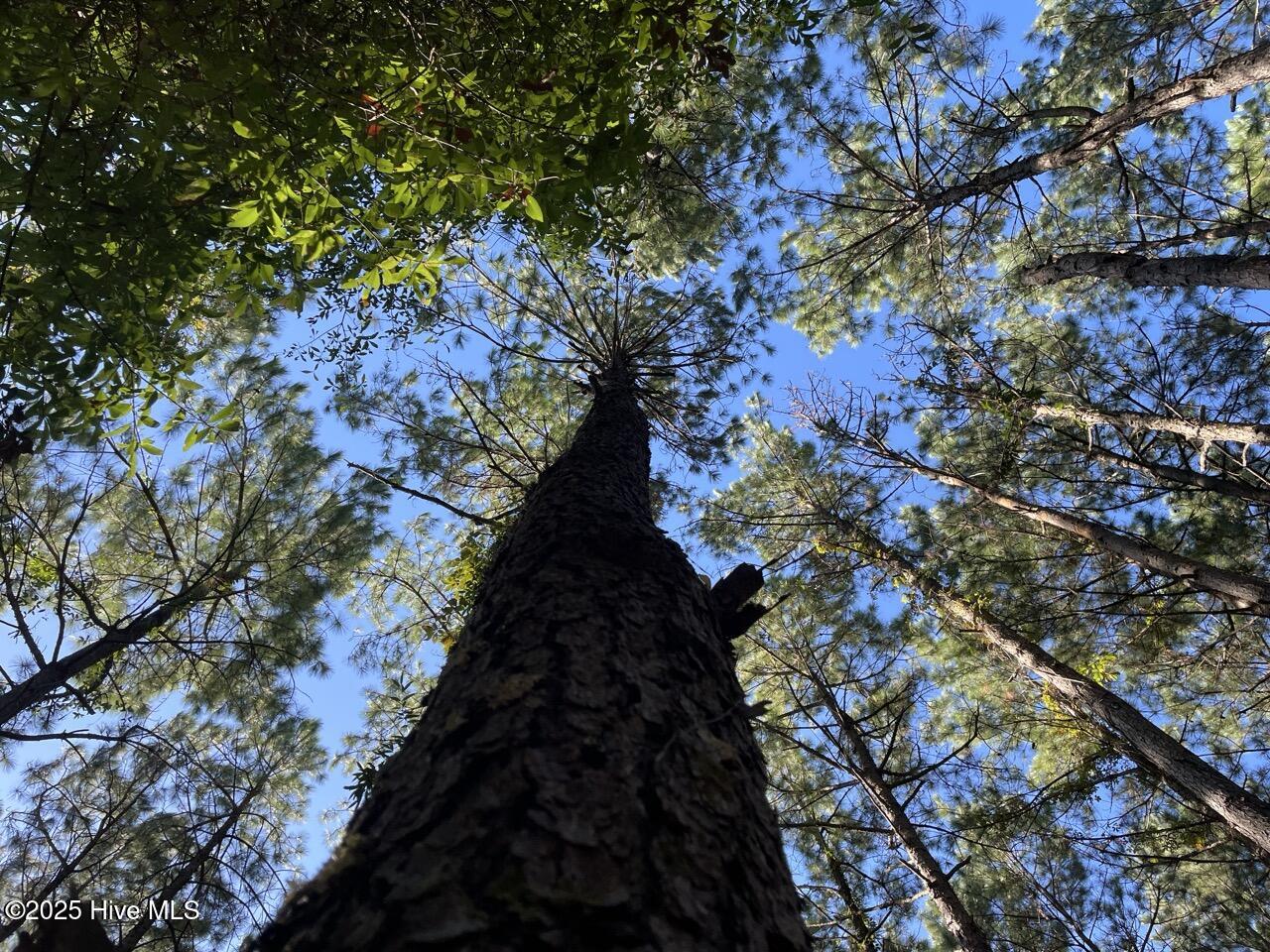 400 4-H Road Beaufort, NC 28516 - Photo 26 of 36 IMG_4542 Large