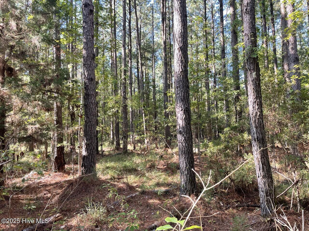 400 4-H Road Beaufort, NC 28516 - Photo 27 of 36 IMG_4543 Large