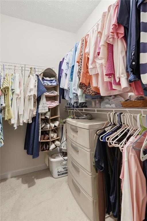 119 Riley Circle Dawsonville, GA 30534 - Photo 24 of 47