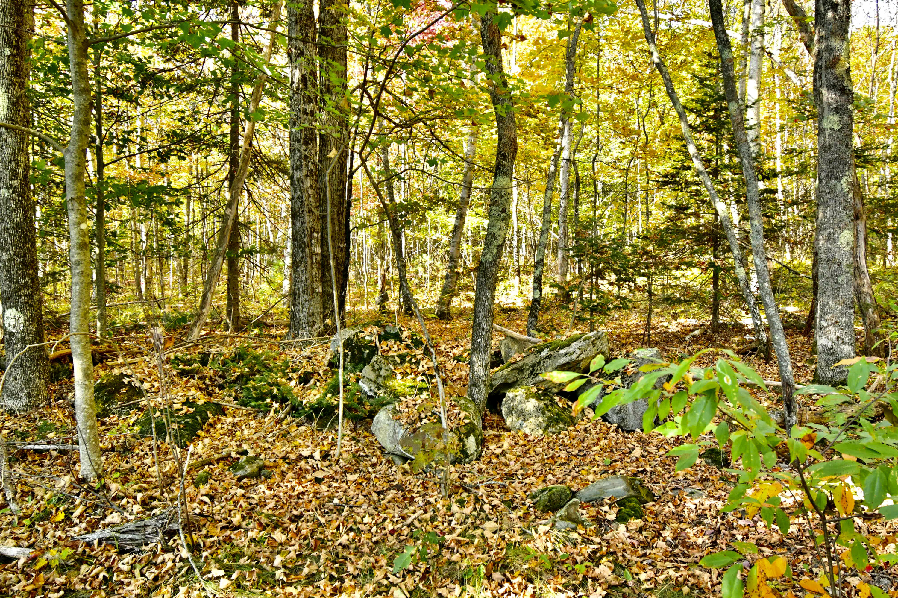 0 Ledge Hill Road Corinth, ME 04427 - Photo 11 of 15 5F3D3013-8A3F-432C-AC56-2DAD00314C71_1_2