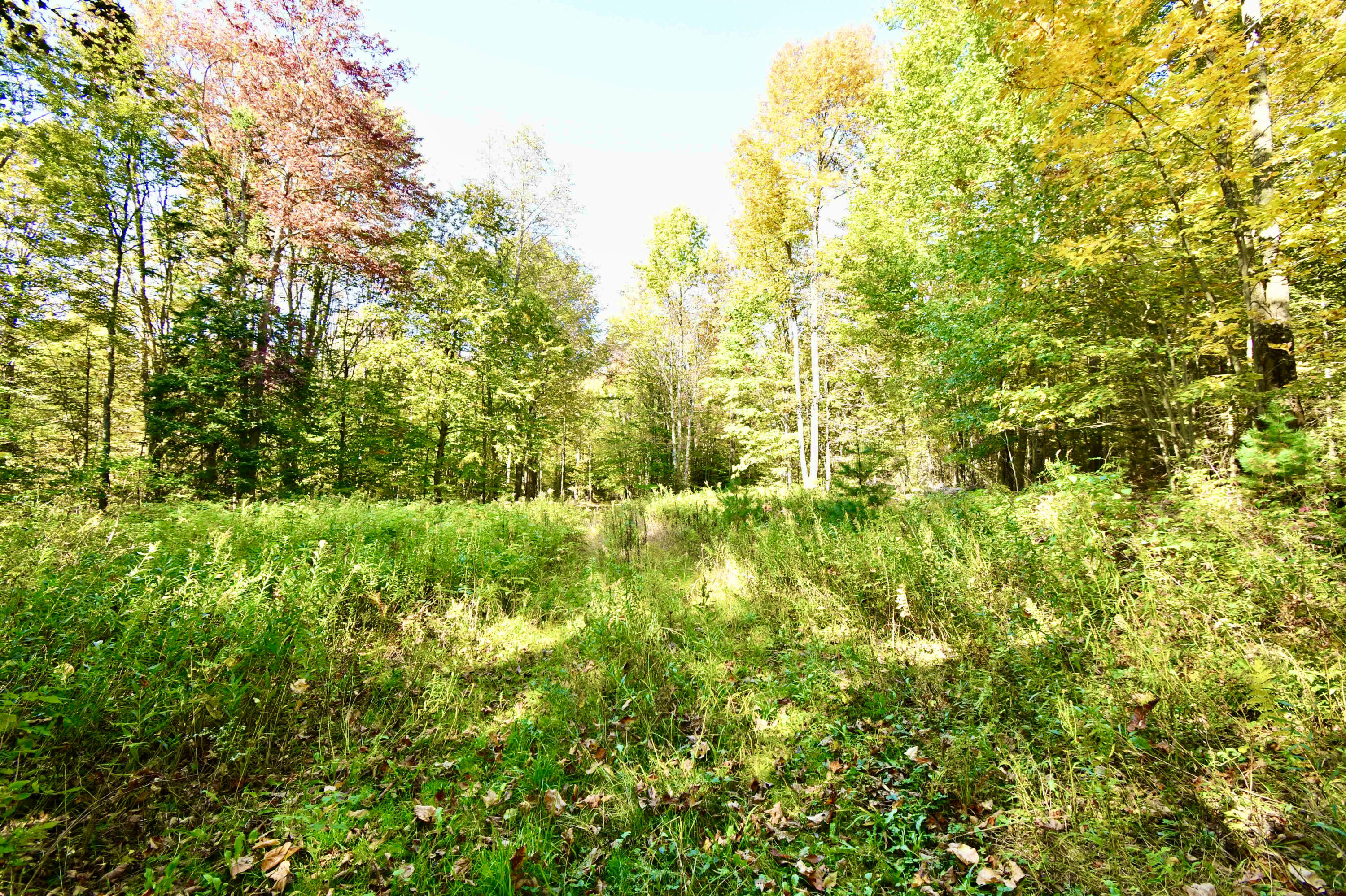 0 Ledge Hill Road Corinth, ME 04427 - Photo 13 of 15 D79E5F9A-7AAF-4DF3-A529-15C9AAA94B46_1_2