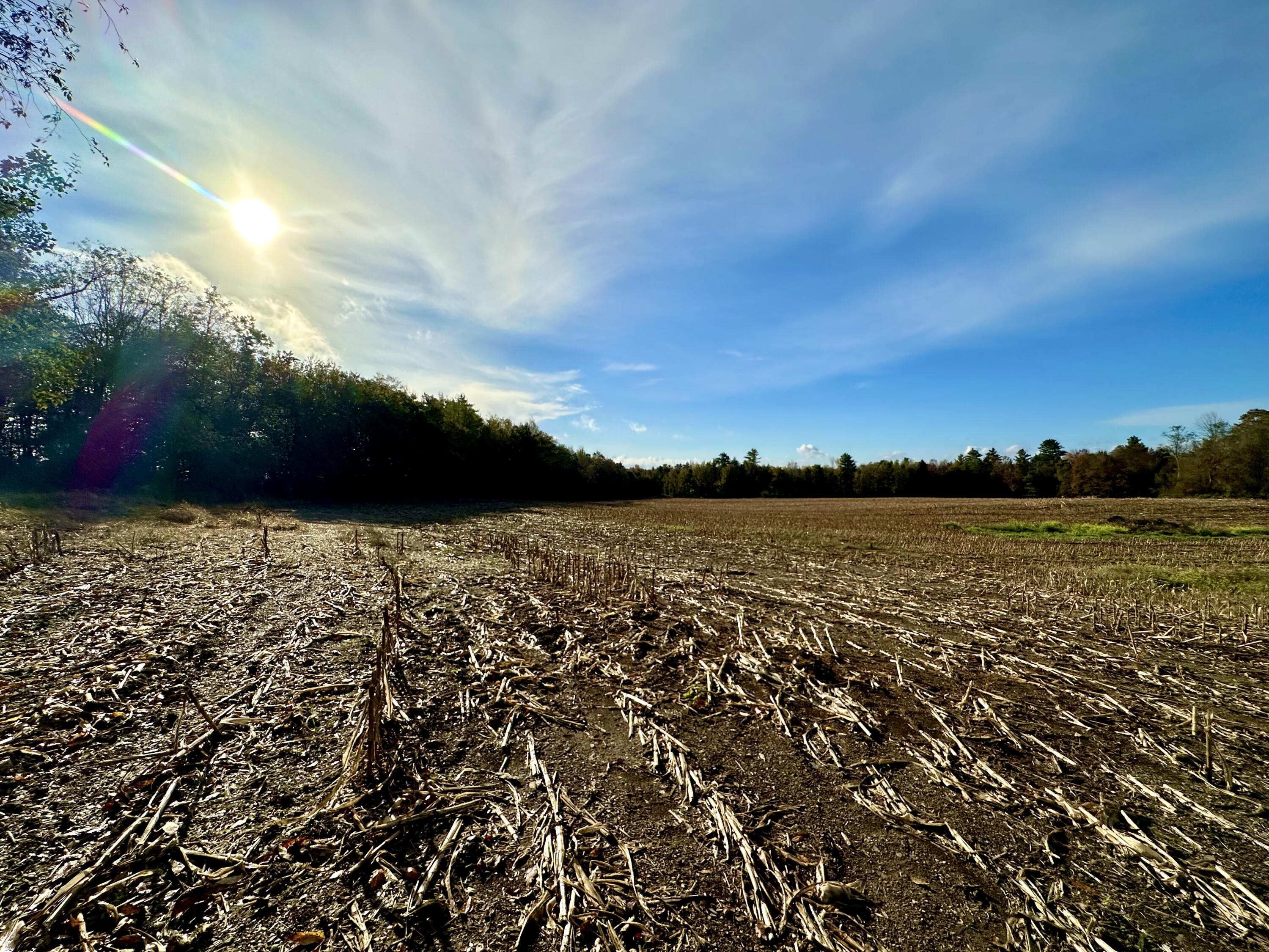 0 Ledge Hill Road Corinth, ME 04427 - Photo 3 of 15 IMG_9905