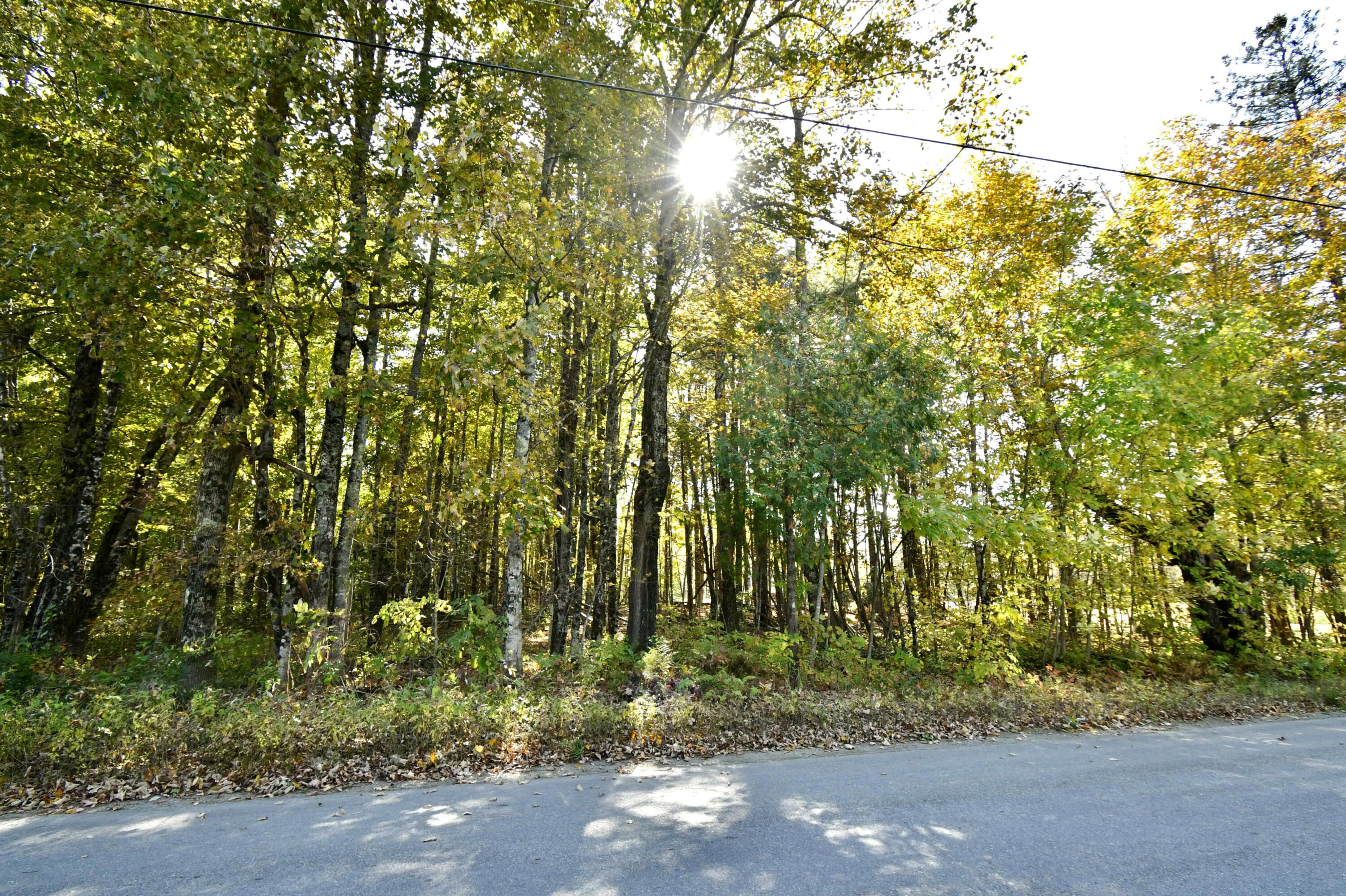 0 Ledge Hill Road Corinth, ME 04427 - Photo 6 of 15 67944AF9-AC8B-4E41-9578-7FCB2FB77AEA_1_2