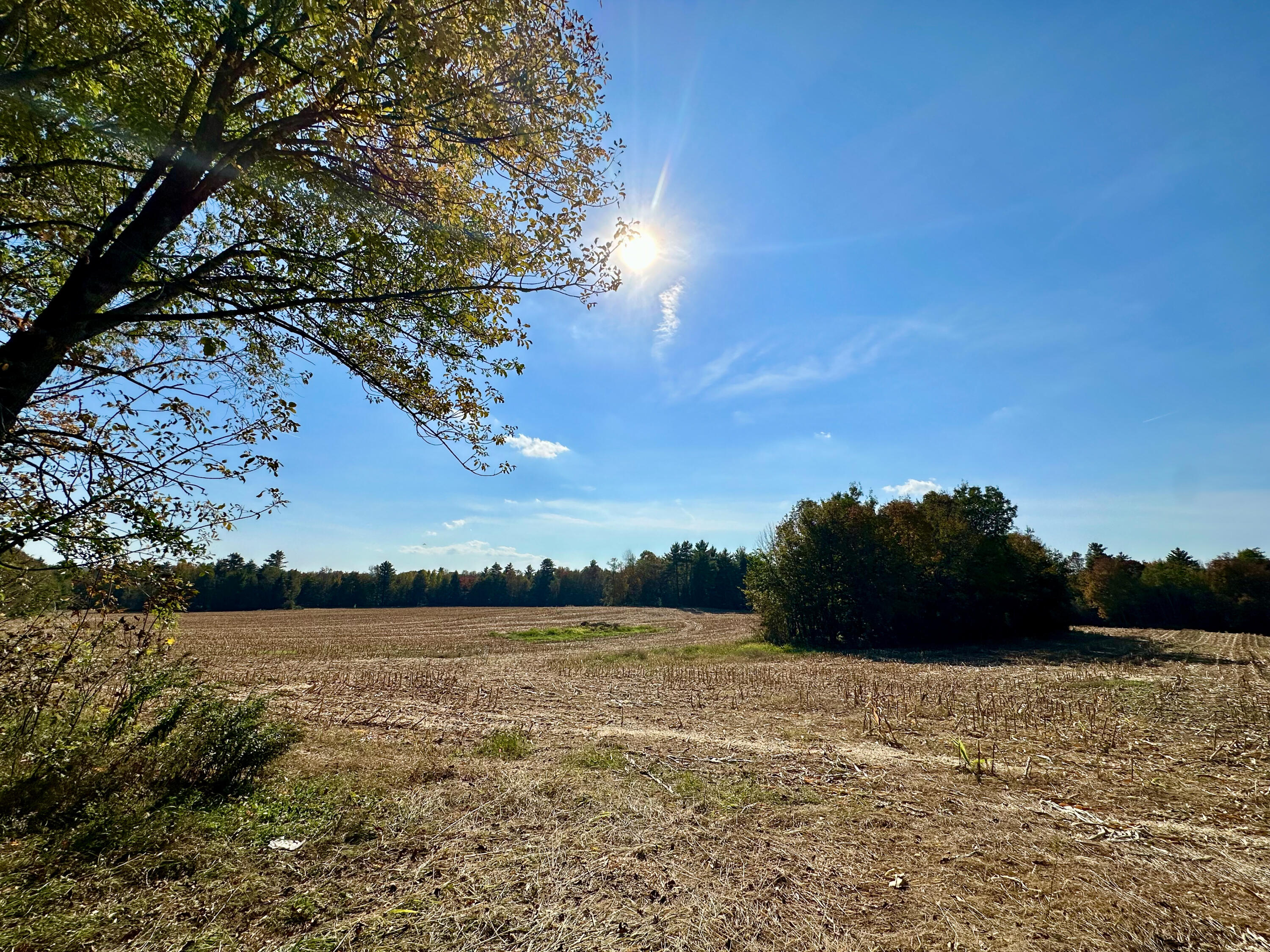 0 Ledge Hill Road Corinth, ME 04427 - Photo 7 of 15 IMG_9821