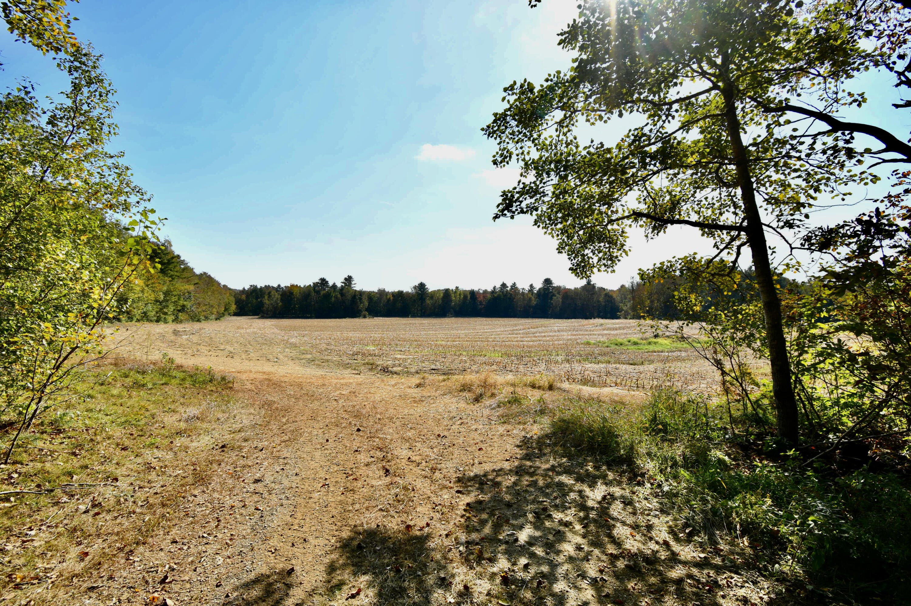 0 Ledge Hill Road Corinth, ME 04427 - Photo 8 of 15 56E64B13-0BFE-4CD1-90A9-81400B5DA35C_1_2