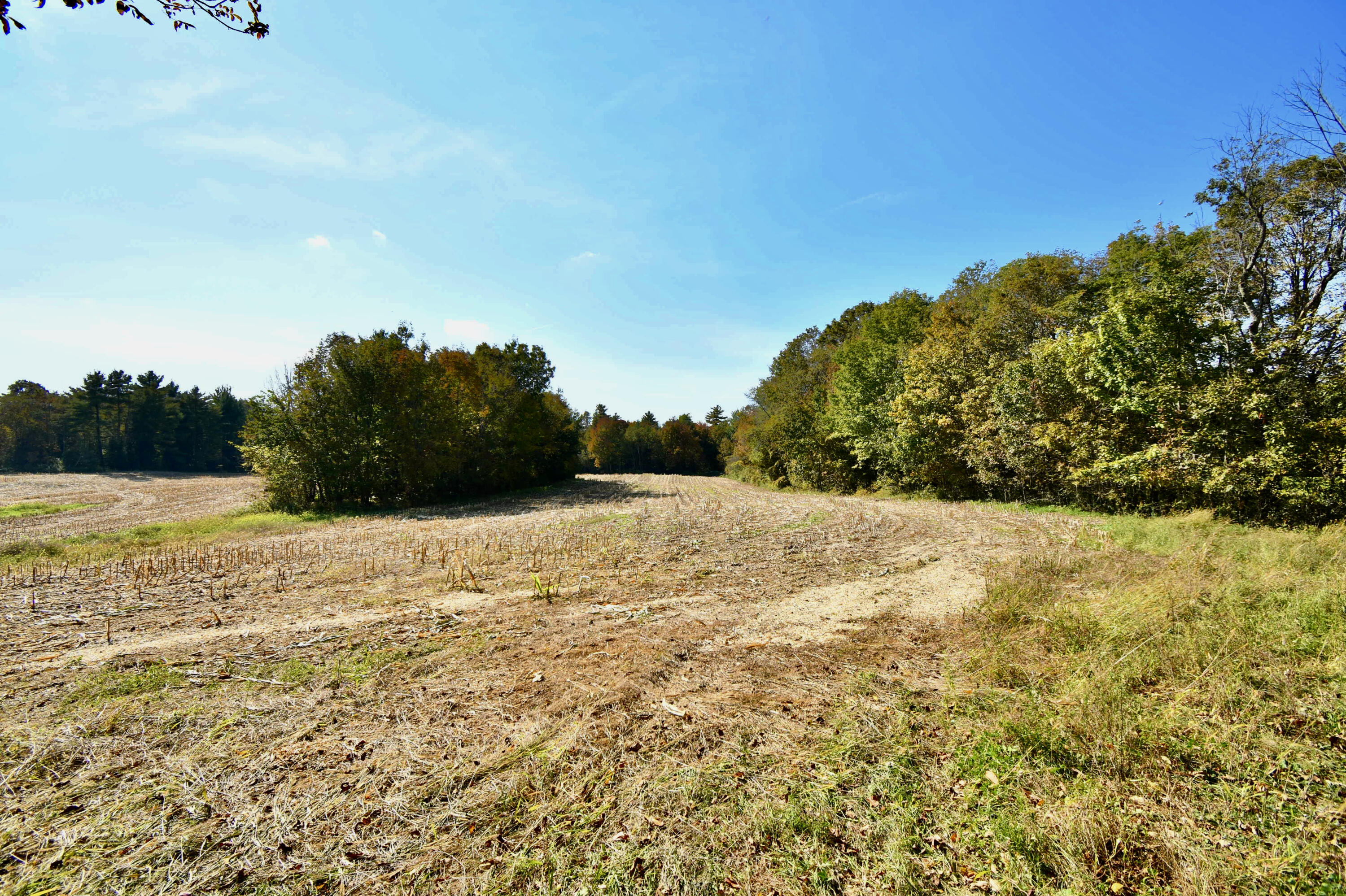 0 Ledge Hill Road Corinth, ME 04427 - Photo 9 of 15 5276B835-EDF9-4BD1-B469-00BA59A76B0A_1_2