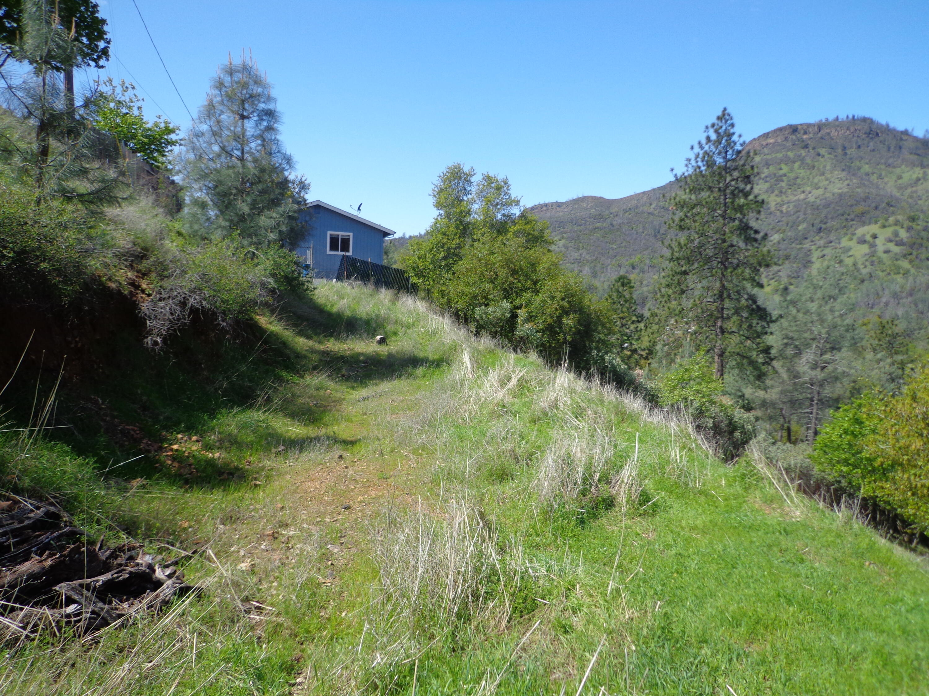 22076 Loop Drive Redding, CA 96003 - Photo 11 of 17 a view of a lush green forest with lots of trees