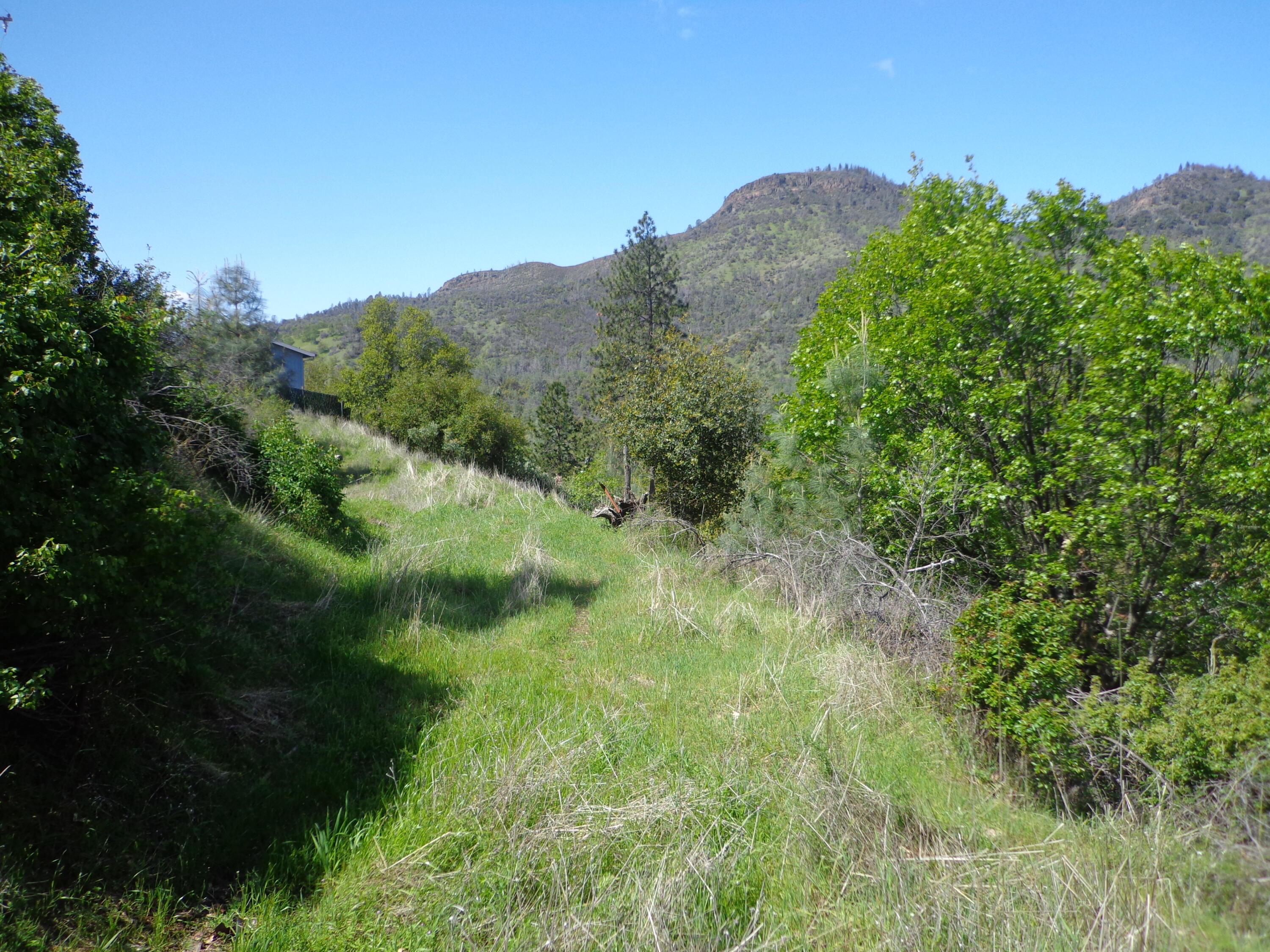 22076 Loop Drive Redding, CA 96003 - Photo 13 of 17 a view of a lush green field