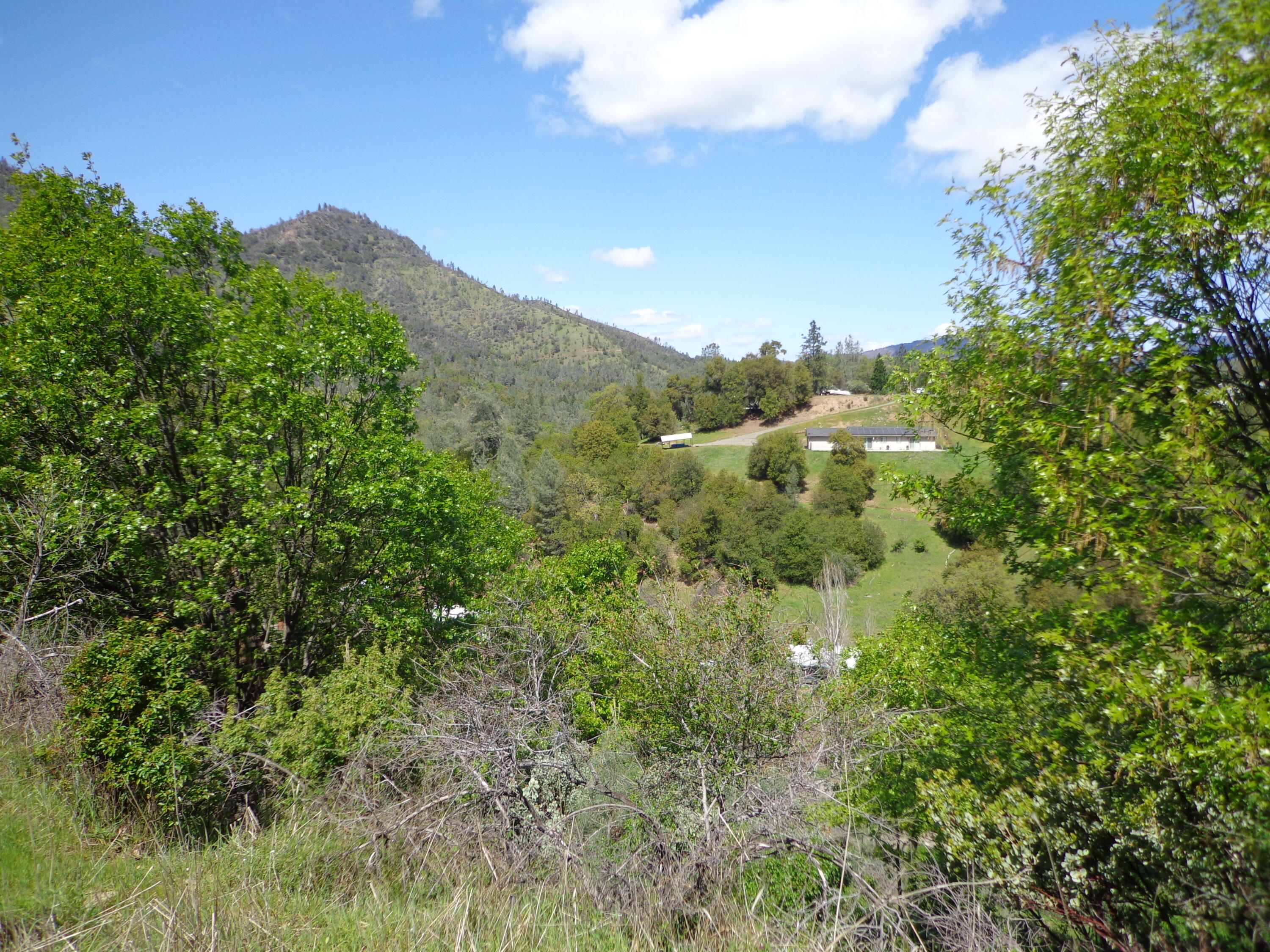 22076 Loop Drive Redding, CA 96003 - Photo 14 of 17 a view of a city